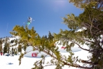 Seb Eaves