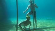 entrainement aquatique