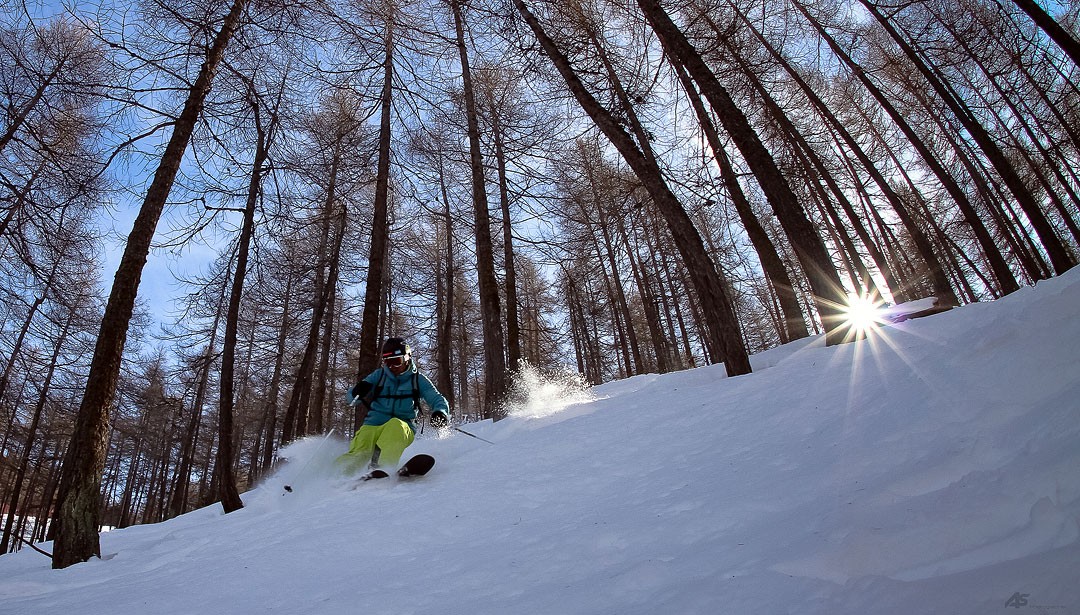 Trips poudre : Chamonix et Bardonnechia