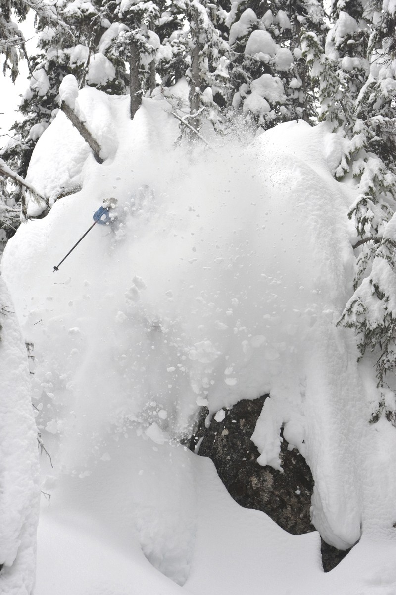 Rouf se gave de poudre entre les sapins de Revy.