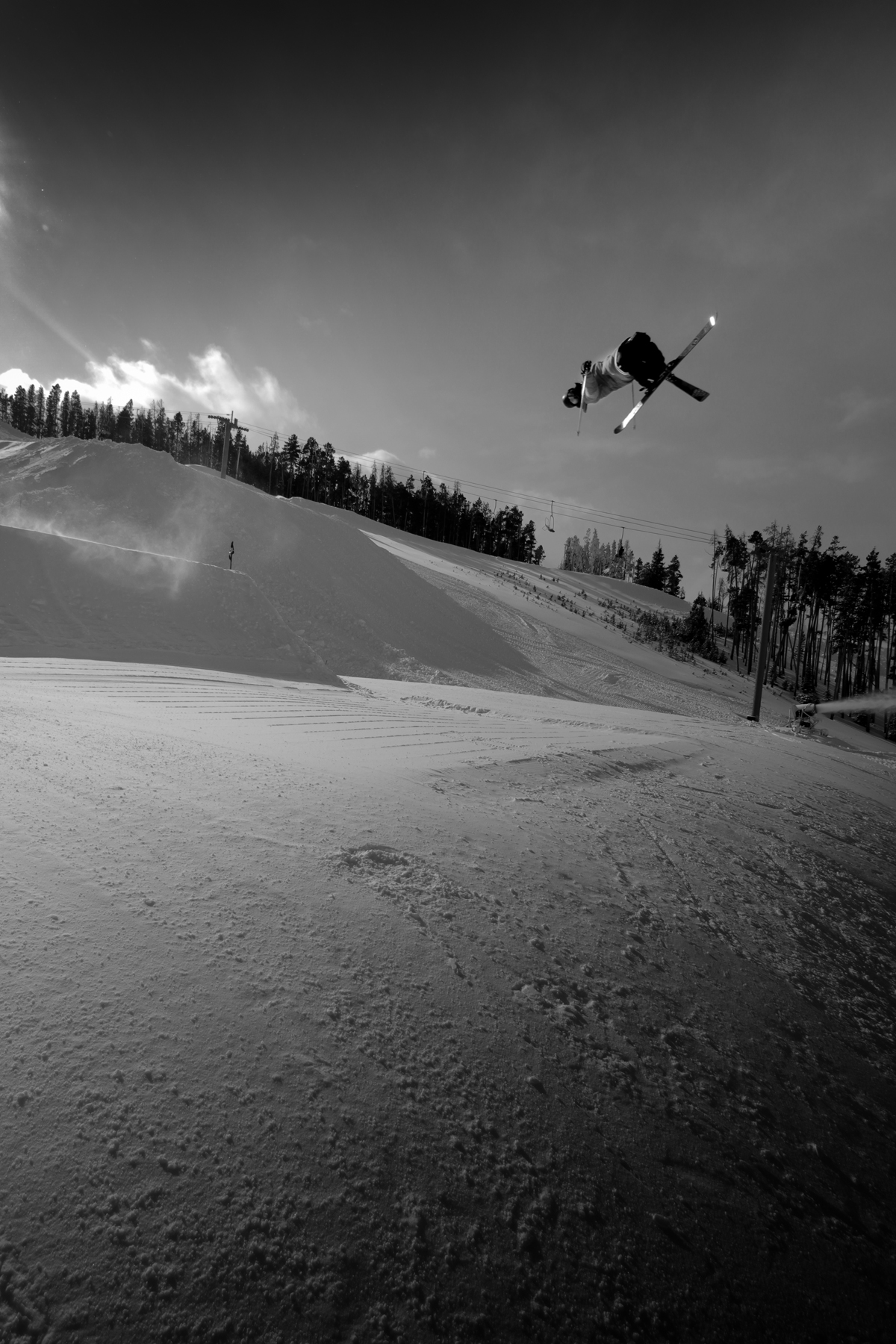 sandy cork 7 tail