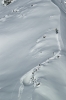 Petite randonnée pedestre sur les hauteurs de Val Thorens.