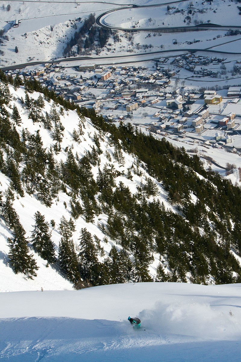 St Bernard en mode freeride