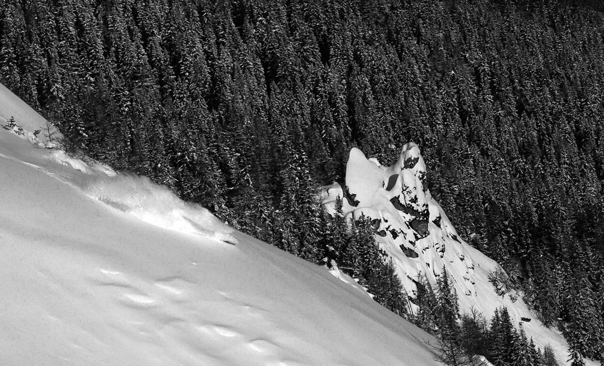 St Bernard en mode freeride