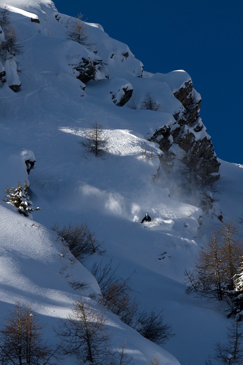 St Bernard en mode freeride
