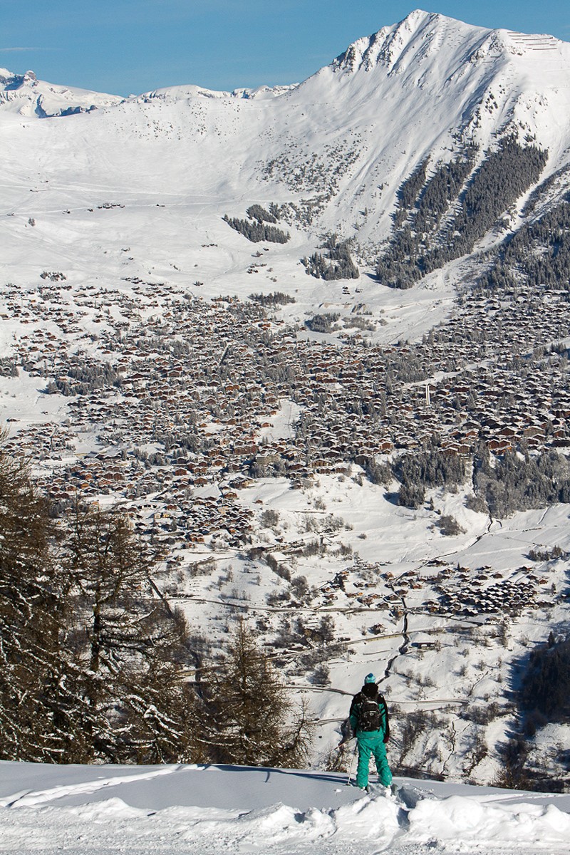 St Bernard en mode freeride