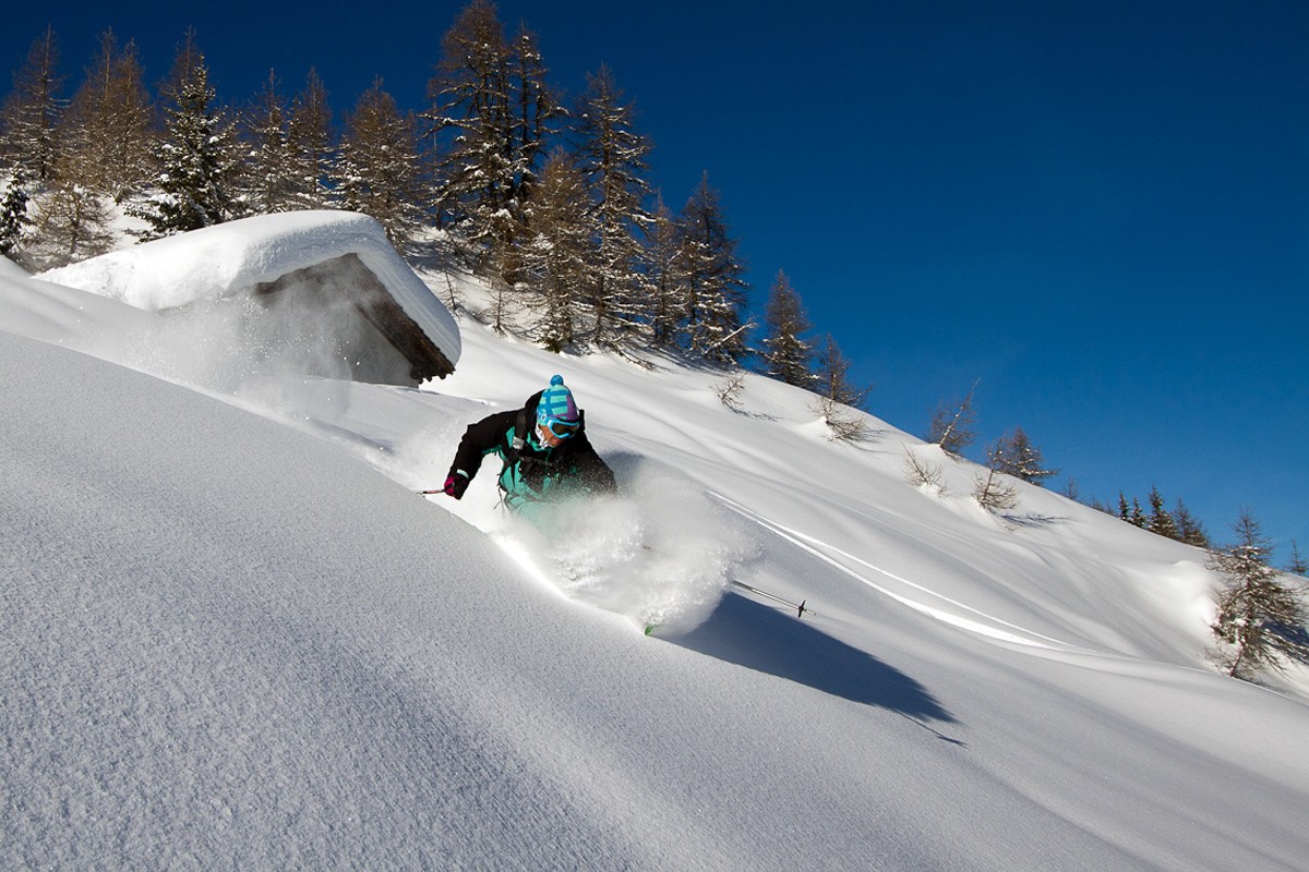 St Bernard en mode freeride