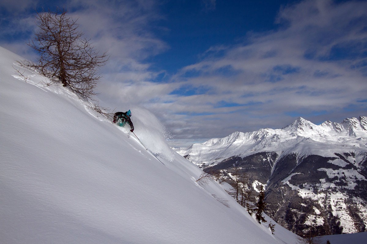 St Bernard en mode freeride