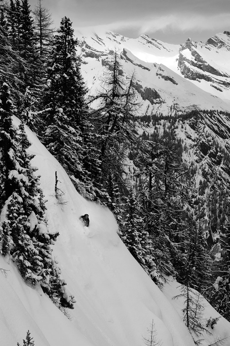 St Bernard en mode freeride