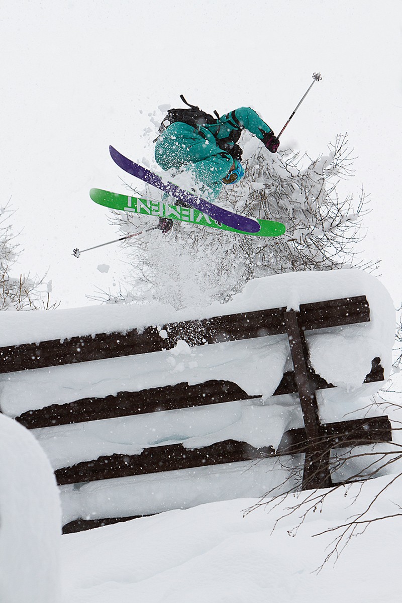 St Bernard en mode freeride