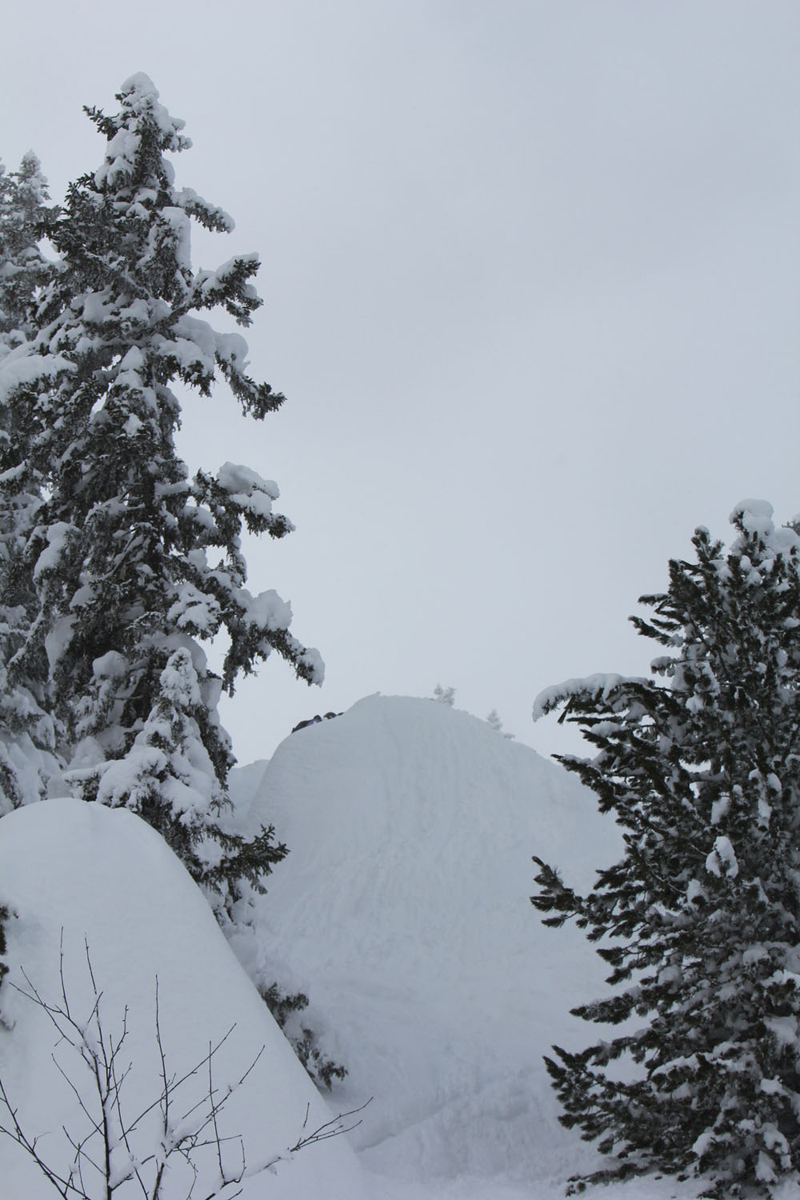 J+1 : dimanche 22 Janvier 2012