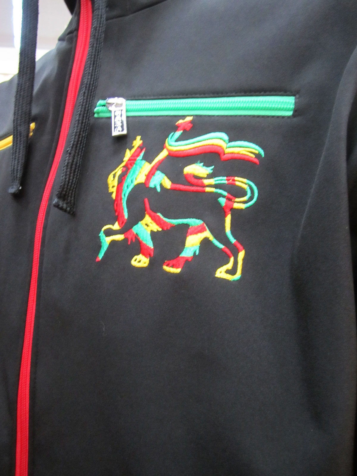 Le Lion ! 