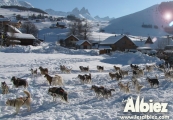 Albiez-Montrond