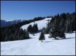 Le Tanet