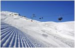 Lenk