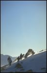 Fiesch