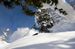 Freeride