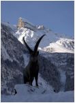 Pralognan la Vanoise