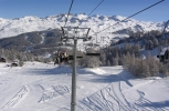 La Forêt Blanche