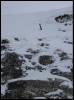 Un mini ski perdu sur le bord du Mur