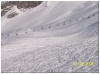 Balme.