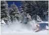 Sortie de sapins � Mach 12