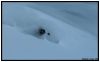 Blaise � la Chaux, �chauffement