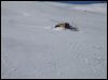Une fourgonette abandon�e