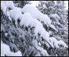 Accumulations