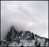 L'attaque des choucas sur les Drus !