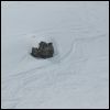 Dimanche : IL NEIGE !!! Yahouuu !!! (On voit les flocons tomber sur le rocher)