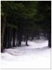 un ptit chemin....