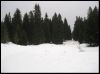 les pistes de fond la verte et la bleue je crois)