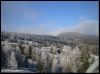 Les arbres givr�s