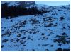 Balme