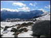les cailloux et l'herbe, beau r�sum� des conditions