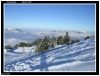 entre Vercors et Chartreuse