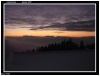 couch� de soleil