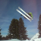 Rjacquot