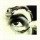 Mr_Bungle