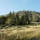 alambre