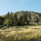 alambre