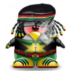 PNDJ