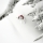 backquentry