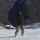 Mygale Mygale