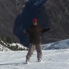 Mygale