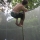 Air_bag Air_bag