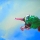 micka66fly micka66fly