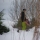 earlysnow