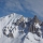 leopard_des_neiges